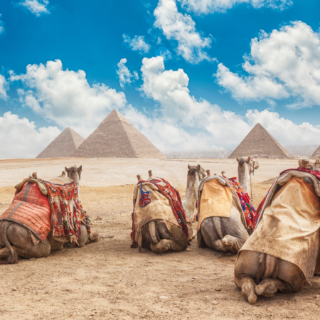 Hurghada to Cairo By Bus Full Day ,Pyramids, Sphinx, Museum and Lunch